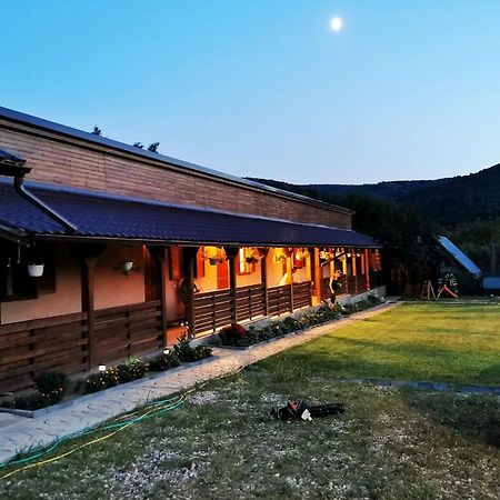 Casa Borcean 2 Vendégház Szászkabánya Kültér fotó