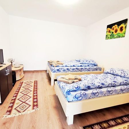Casa Borcean 2 Vendégház Szászkabánya Kültér fotó