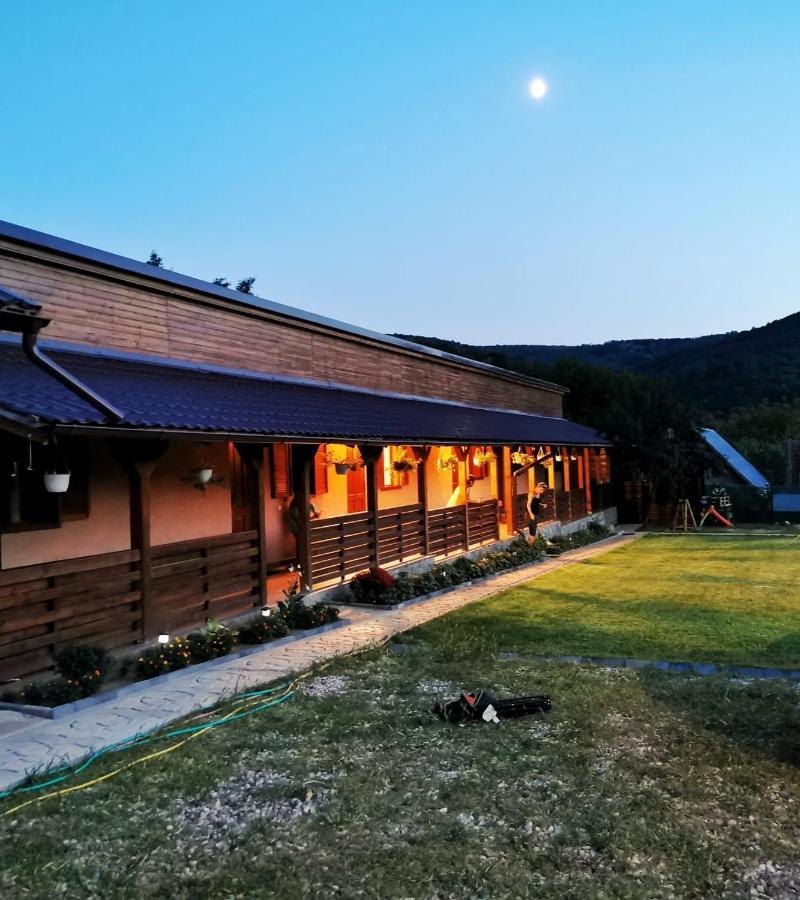 Casa Borcean 2 Vendégház Szászkabánya Kültér fotó