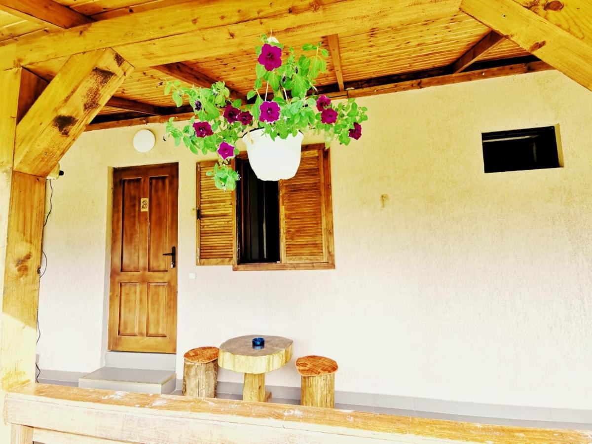 Casa Borcean 2 Vendégház Szászkabánya Kültér fotó