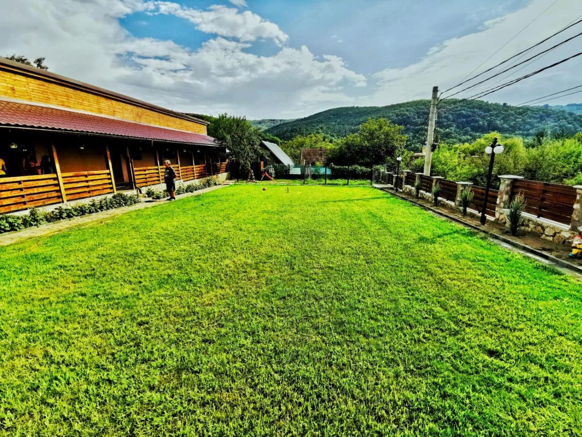 Casa Borcean 2 Vendégház Szászkabánya Kültér fotó