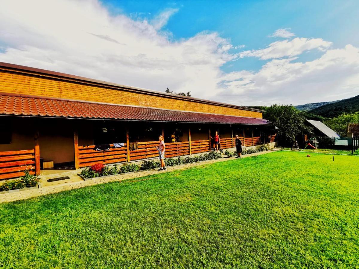 Casa Borcean 2 Vendégház Szászkabánya Kültér fotó