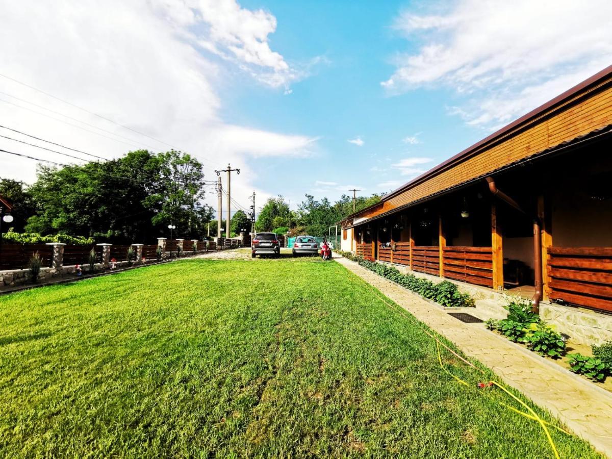 Casa Borcean 2 Vendégház Szászkabánya Kültér fotó