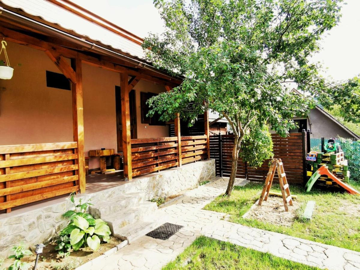 Casa Borcean 2 Vendégház Szászkabánya Kültér fotó