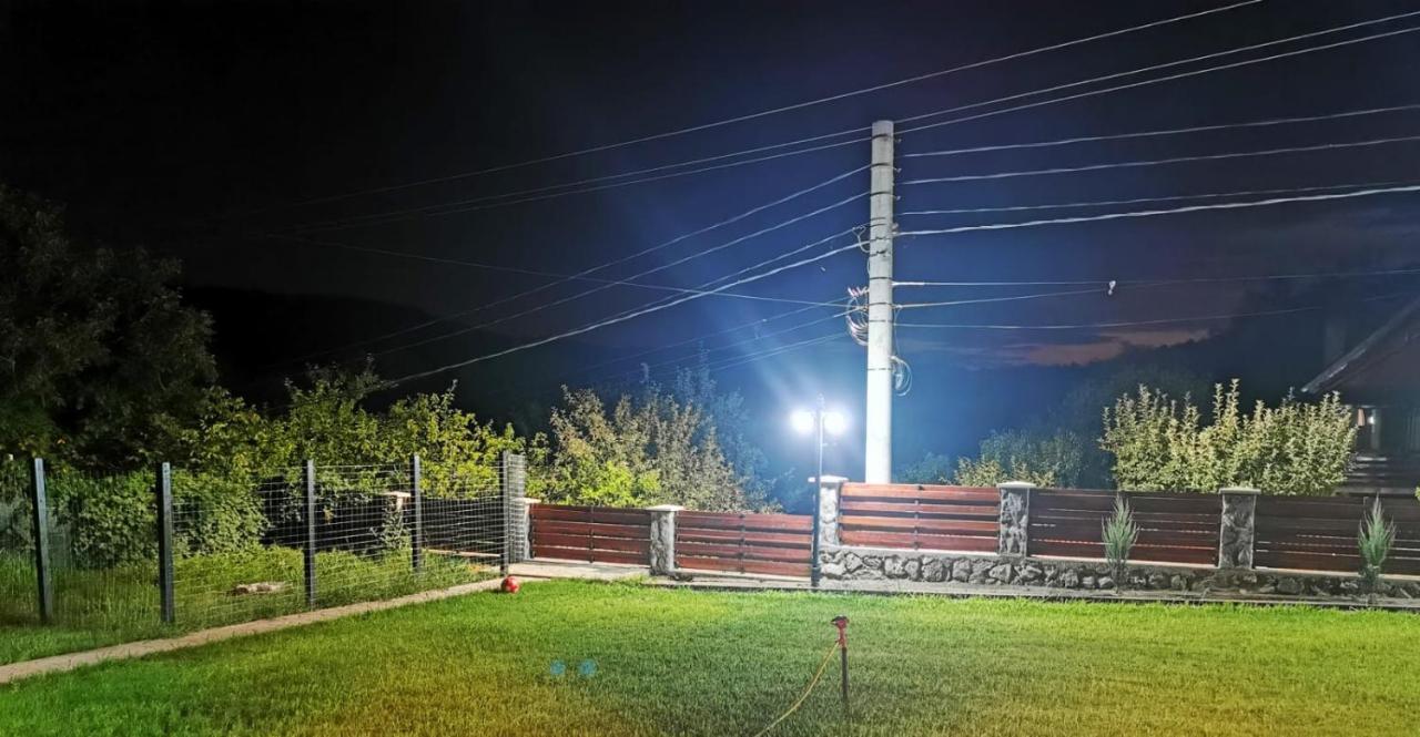 Casa Borcean 2 Vendégház Szászkabánya Kültér fotó