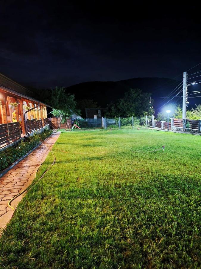 Casa Borcean 2 Vendégház Szászkabánya Kültér fotó