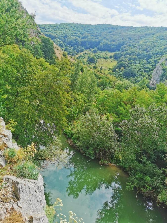 Casa Borcean 2 Vendégház Szászkabánya Kültér fotó