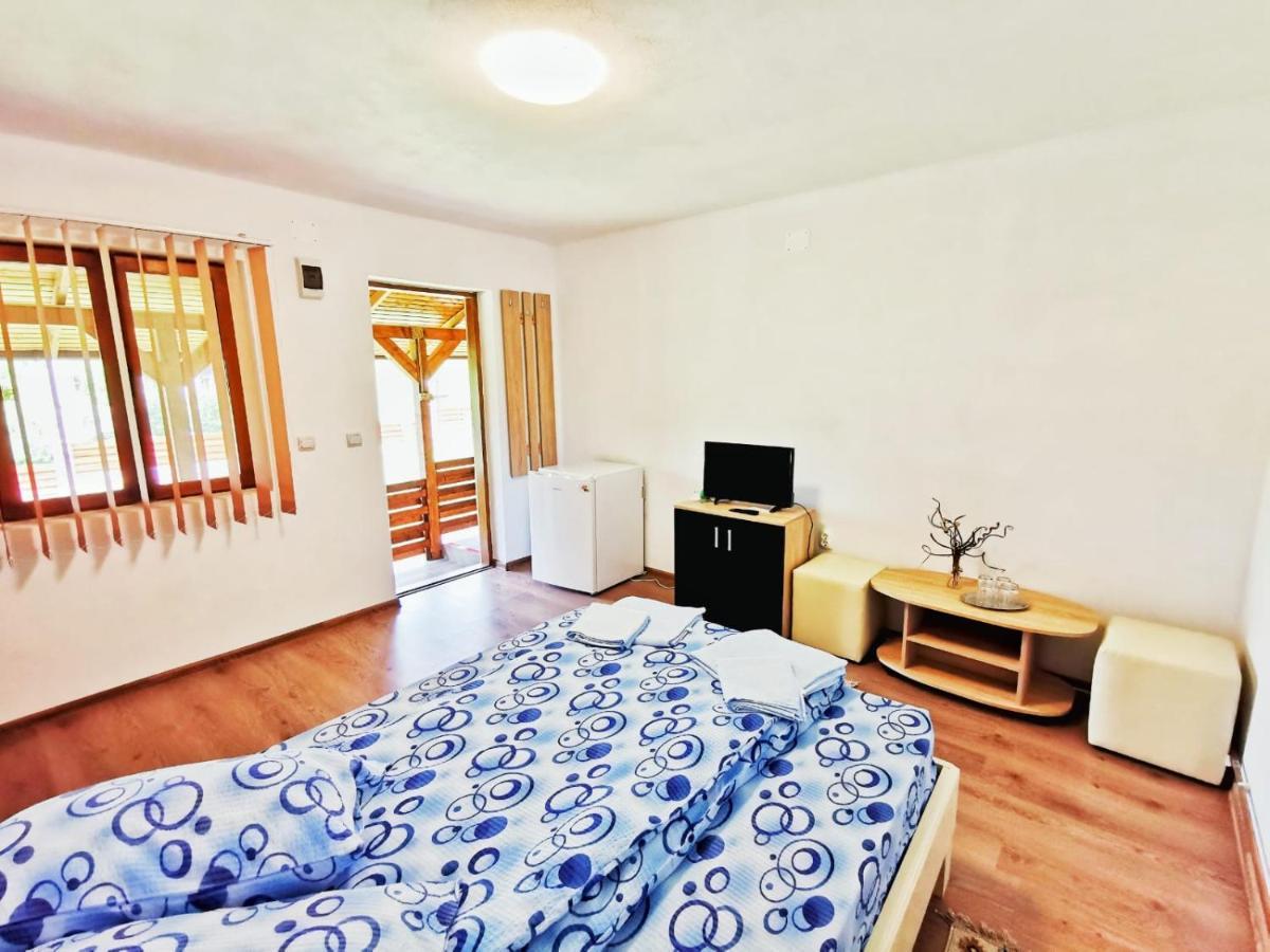 Casa Borcean 2 Vendégház Szászkabánya Kültér fotó