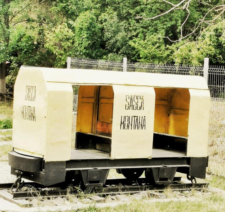 Casa Borcean 2 Vendégház Szászkabánya Kültér fotó