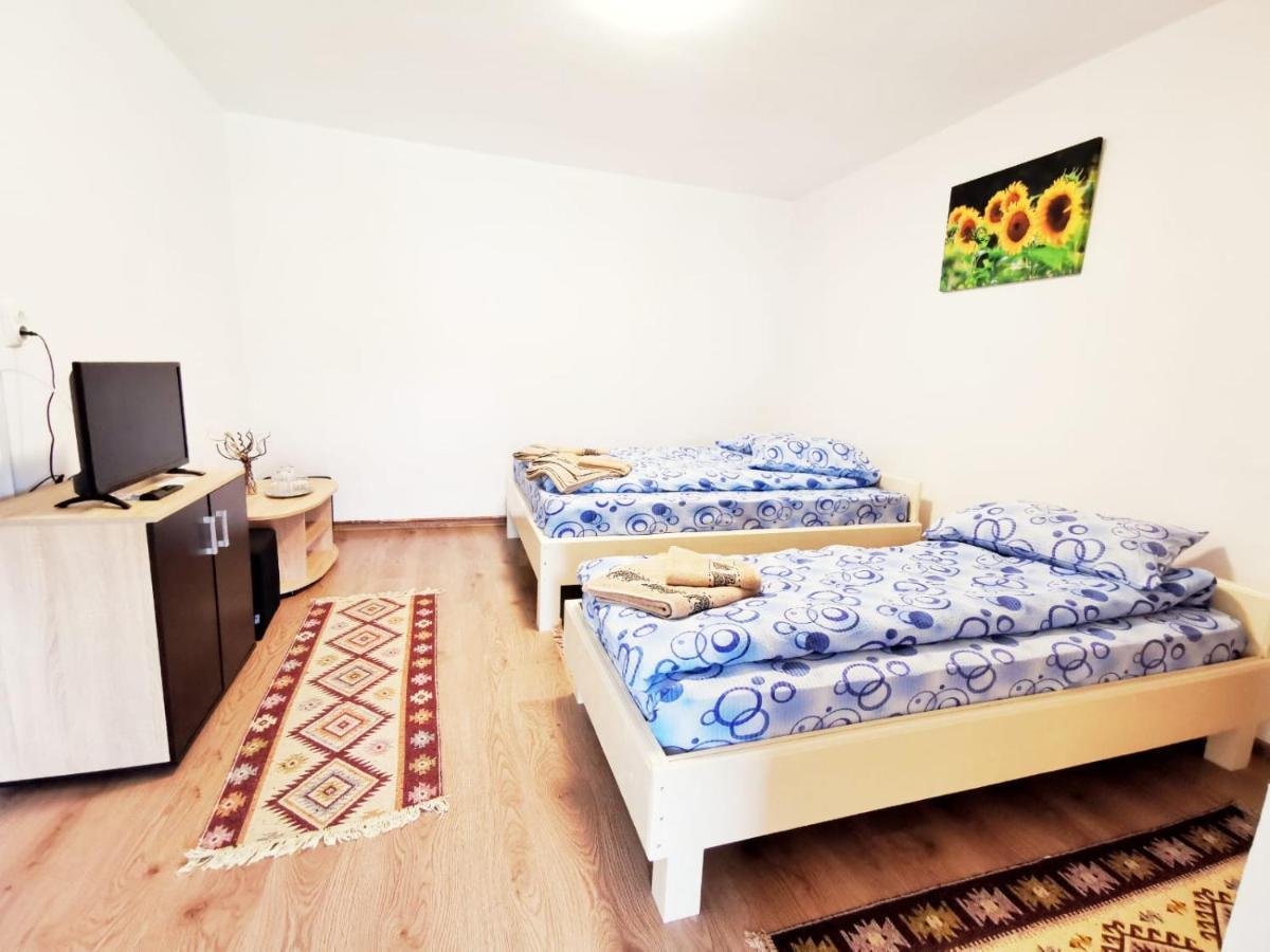 Casa Borcean 2 Vendégház Szászkabánya Kültér fotó