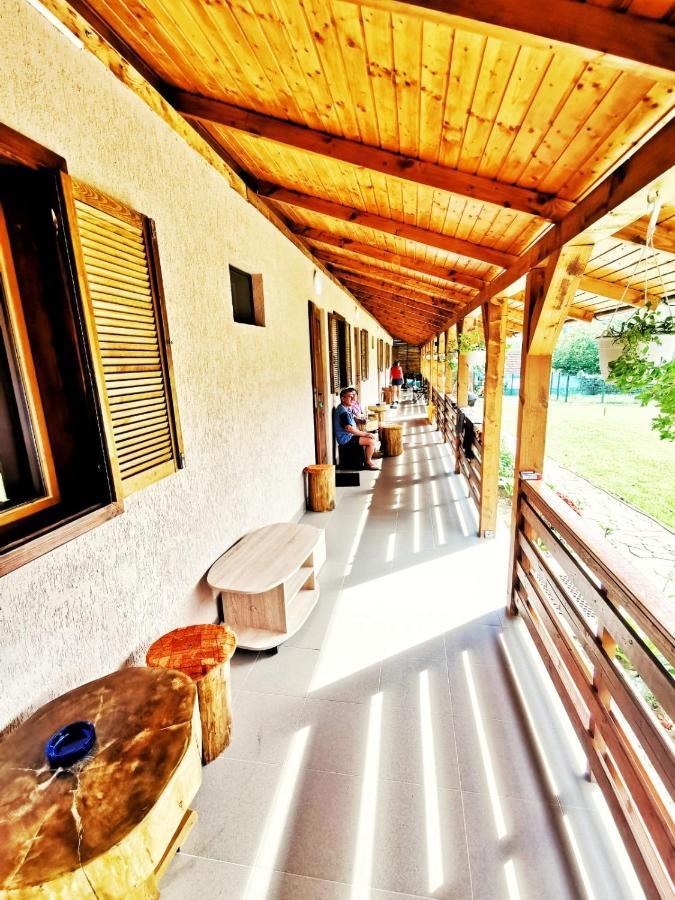 Casa Borcean 2 Vendégház Szászkabánya Kültér fotó