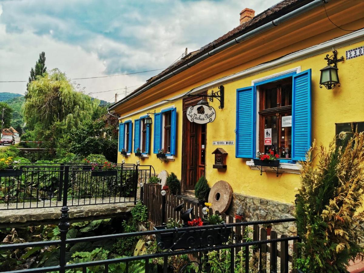 Casa Borcean 2 Vendégház Szászkabánya Kültér fotó